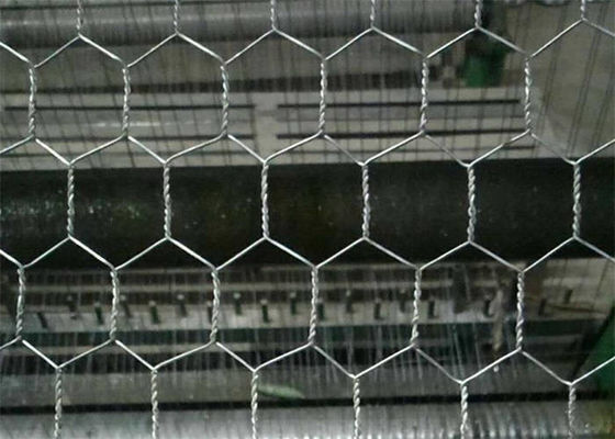 Elektroverzinkte nach dem Weben von sechsseckigen Hühnerdrahtnetzen